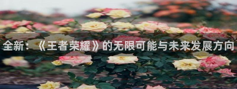 长征娱乐app下载：全新：《王者荣耀》的无限可能与未来发展方
