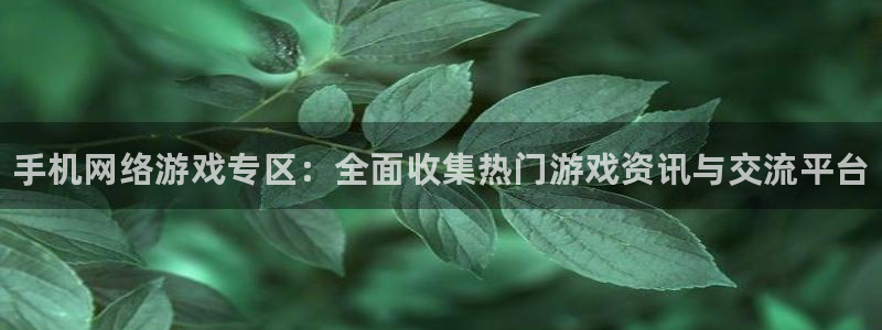 长征娱乐下载链接：手机网络游戏专区：全面收集热门游戏资讯与交