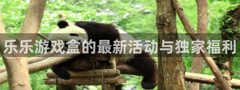 长征娱乐登录：乐乐游戏盒的最新活动与独家福利