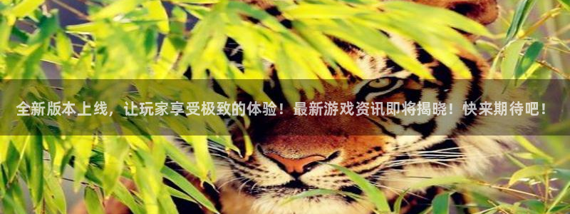 长征娱乐注册官方登录app：全新版本上线，让玩家享受极致的体