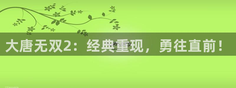 长征娱乐平台官网入口：大唐无双2：经典重现，勇往直前！