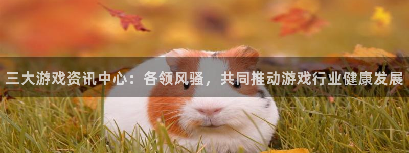 长征娱乐网页登录入口：三大游戏资讯中心：各领风骚，共同推动游