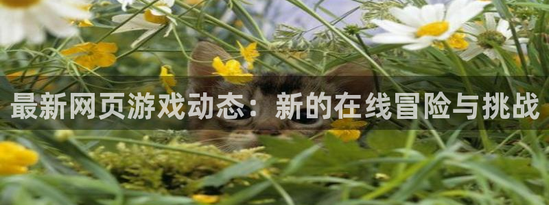 长征娱乐平台注册资金多少：最新网页游戏动态：新的在线冒险与挑