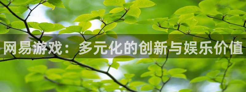 长征娱乐十.3.3.4.8.2站点详解