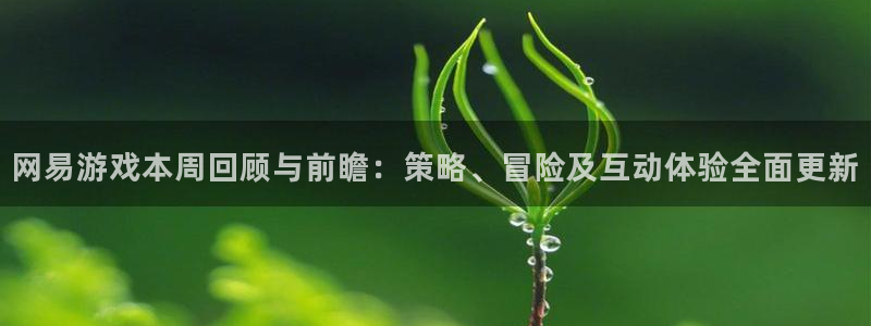 长征娱乐总代