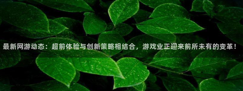 长征娱乐注册注册入口即登录网站官网：最新网游动态：超前体验与