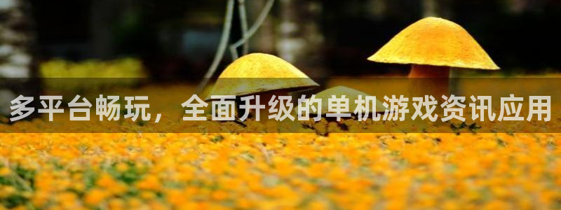 长征娱乐官网网页入口下载
