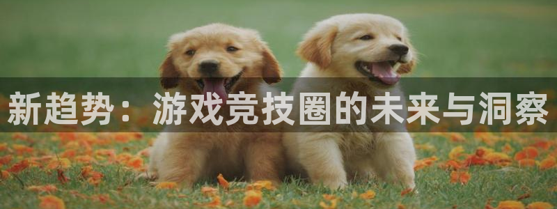 长征娱乐官网登录入口下载：新趋势：游戏竞技圈的未来与洞察